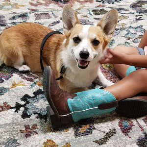 Fundraising Page: Peggy Cox